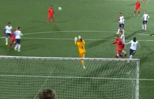 1633812189144004377.gif 1088.gif